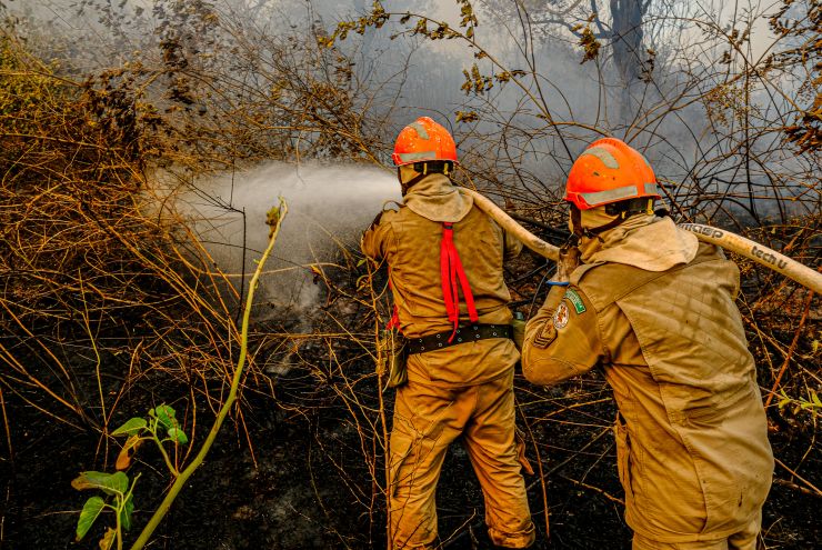 Quarenta e três militares da Força Nacional vão atuar no combate as queimadas em Mato Grosso