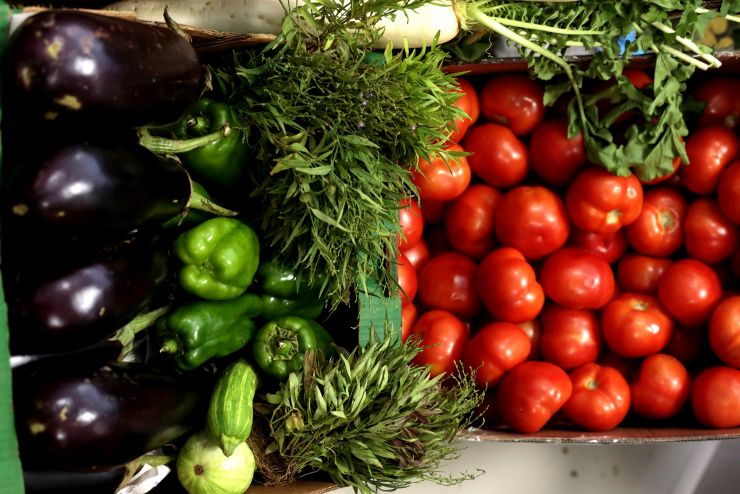 Centro Político recebe feira de horticultura nesta terça-feira (11)