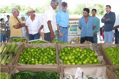 Curso de olericultura começa nesta quarta-feira para técnicos da Sedraf, Empaer e prefeituras.