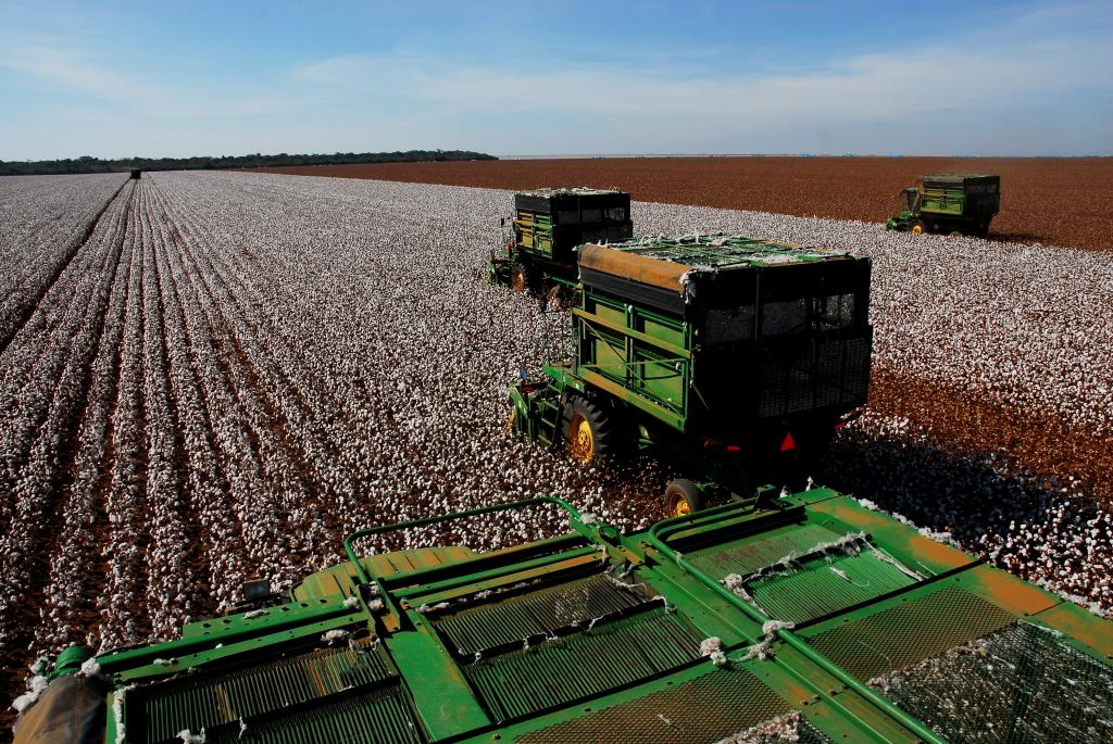 PIB de Mato Grosso cresce 4,5% no segundo trimestre de 2019