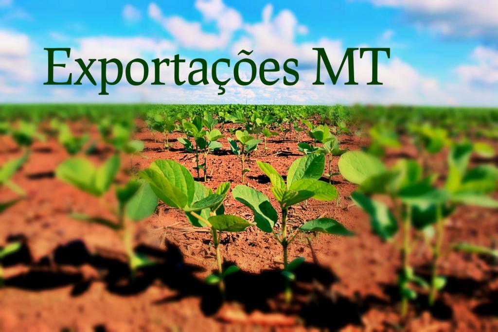 Comércio exterior de MT tem previsão de crescer 8.9% em 2017