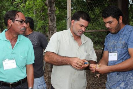 Técnicos da Empaer ensinam criadores a vacinar aves na comunidade Formigueiro em VG